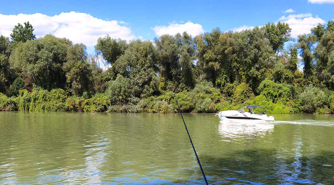 Bez Dunava nema života: Pecanje u jesen