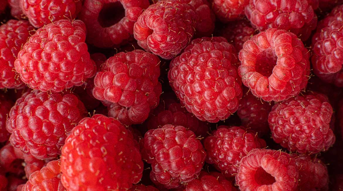 Malina: Sve o kraljici jagodičastog voća i srpskom crvenom zlatu