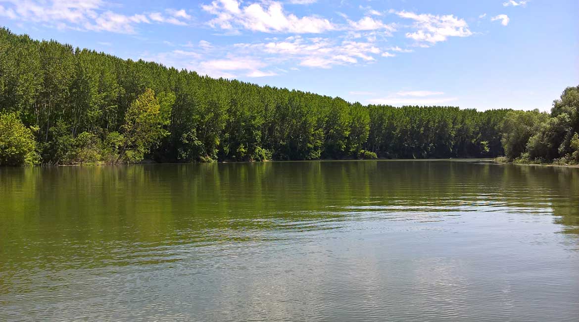 Male Vode iliti Turski Dunavac