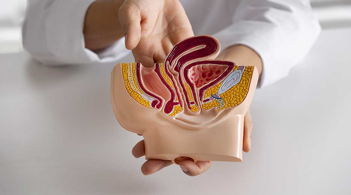 Hemoroidi: Uzroci, simptomi i saveti za prevenciju