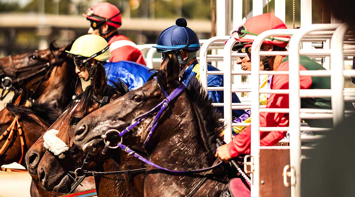 Peti galopski dan i Pehar Predsednika Republike 2025!