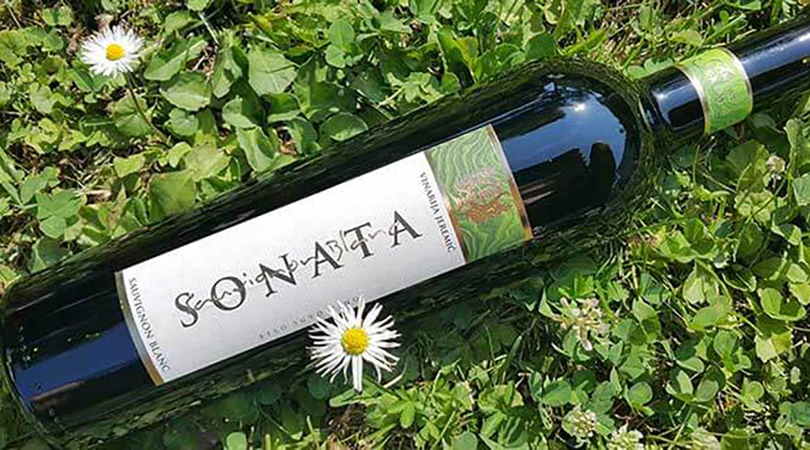 Sonata – Vinarija Jeremić