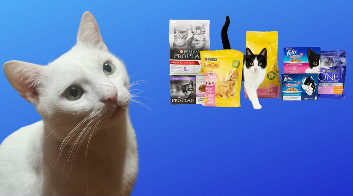 Da li PURINA ubija naše ljubimce?