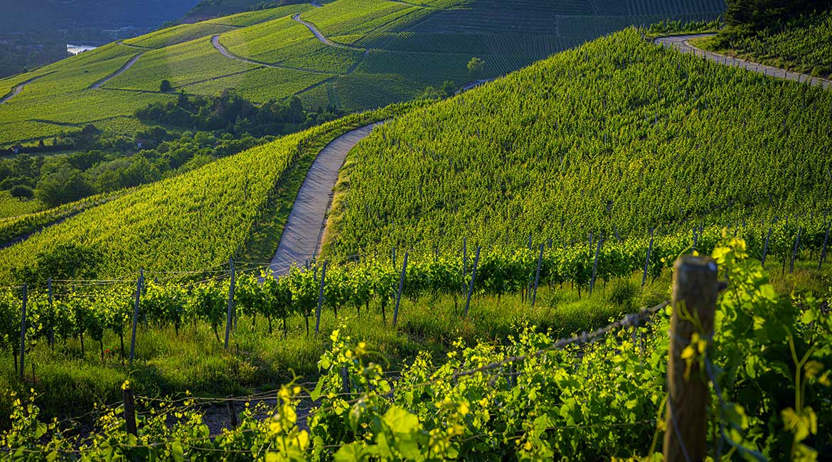 Južna Italija – Regija Sicilija