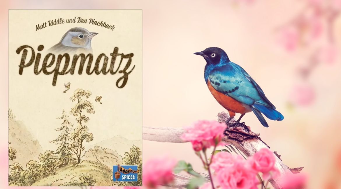 PIEPMATZ - Igra sa kartama za toplo leto
