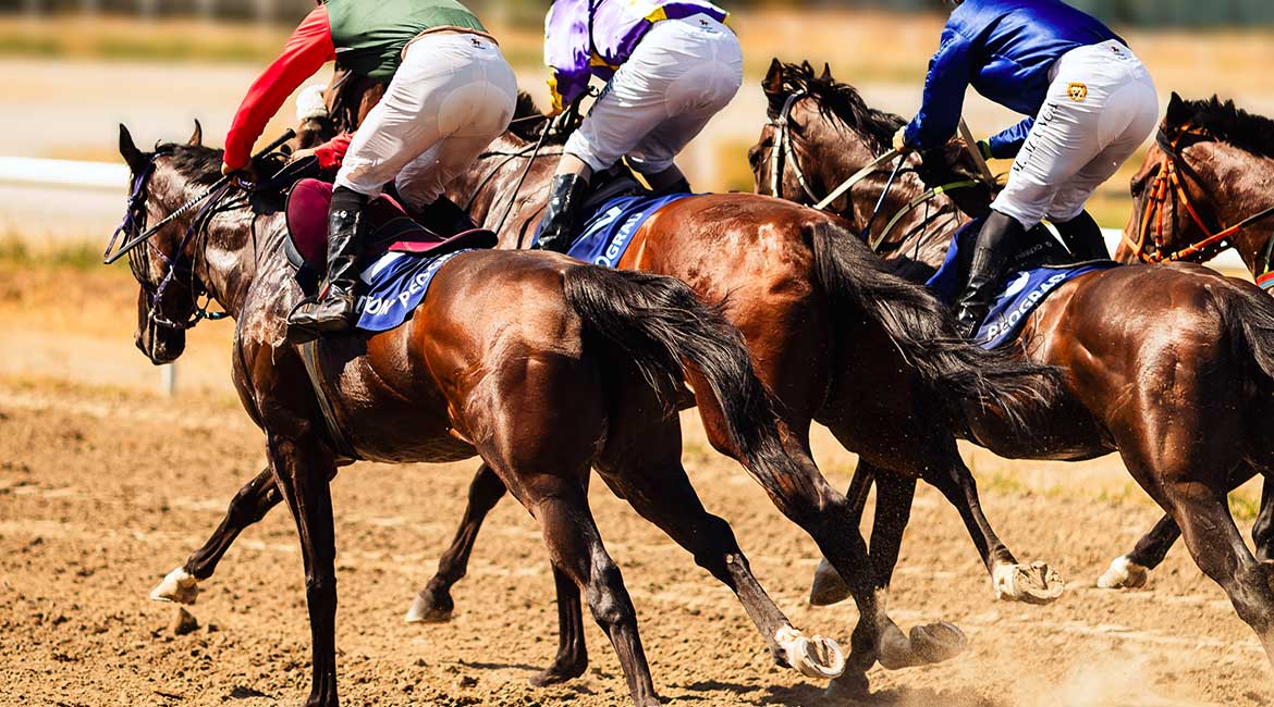 Otvaranje galopske sezone na Beogradskom hipodromu 26. aprila