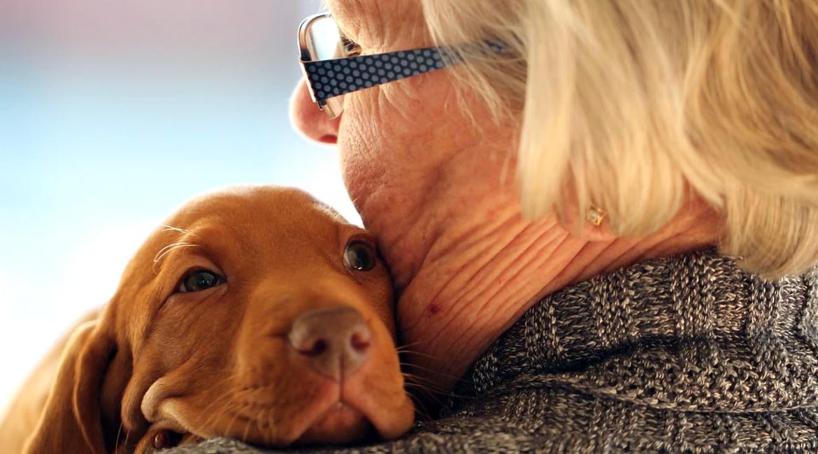 Kućni ljubimci kao čuvari mentalnog zdravlja
