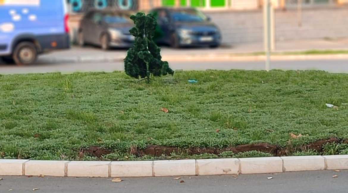 Mala plastična jelka osvanula na kružnom toku Rospi Ćuprija