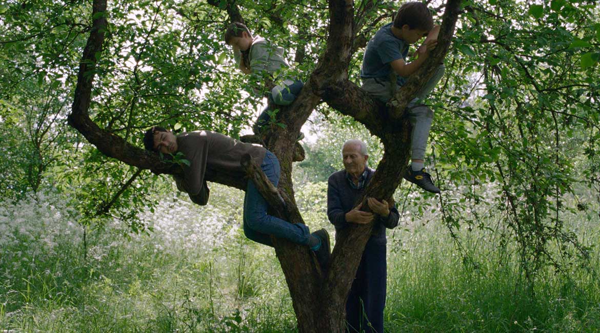 Domaći film „Vetre, pričaj sa mnom“ uskoro u bioskopima