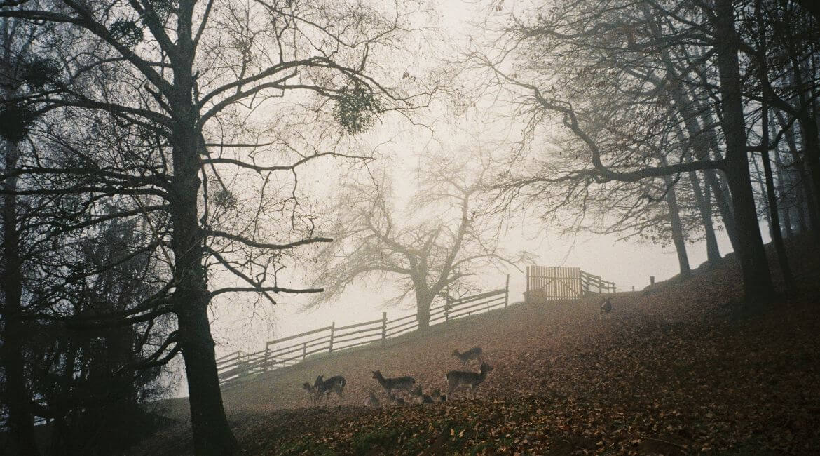 Jelenov greben, Slovenija - bajkovita vikend destinacija